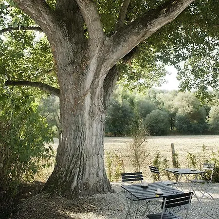 Bed and breakfast B&B Il Molinetto